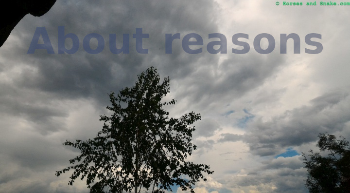 About reasons